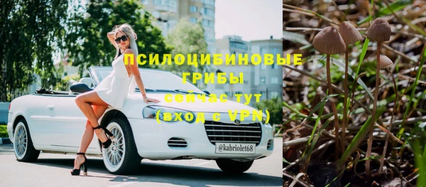 соль ск Вязьма