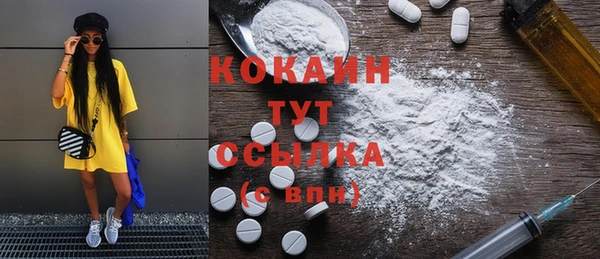прущая мука Вяземский