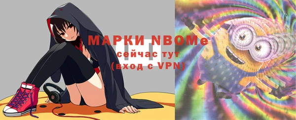 соль ск Вязьма