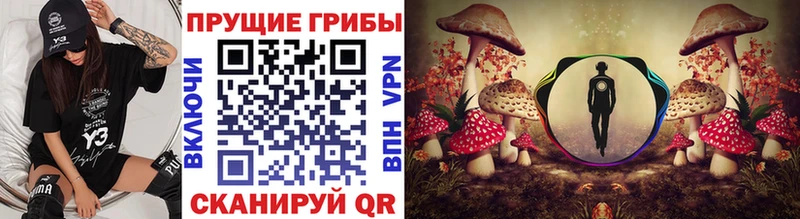 Купить закладки  Озёрск  Псилоцибиновые грибы ЛСД 
